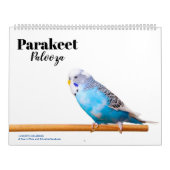 Parkiet Palooza Kalender (Hoes)