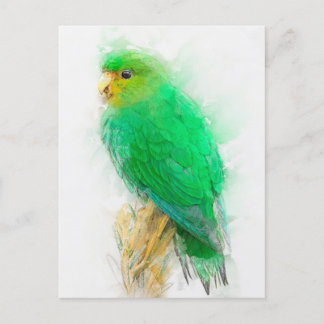 Parkiet-portret Briefkaart