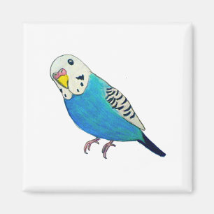 Parkiet tekening magneet