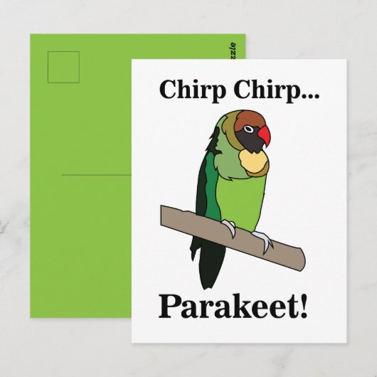 Parkiet vogel briefkaart (Voorkant / Achterkant)