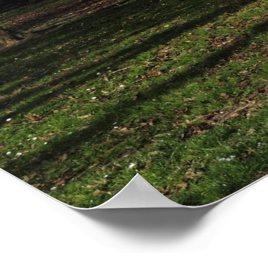 Parklandschap in de vroege lente poster (Hoek)