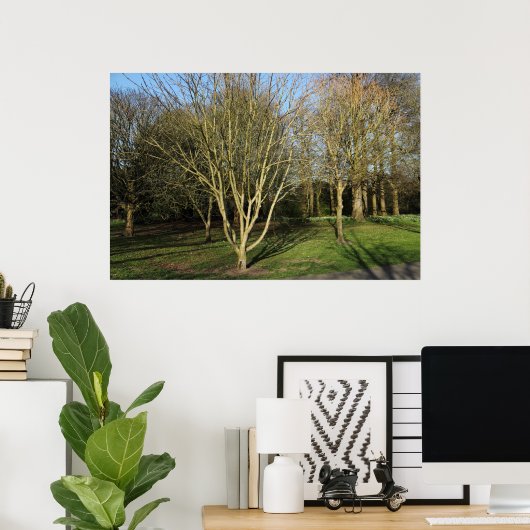 Parklandschap in de vroege lente poster (Thuiskantoor)