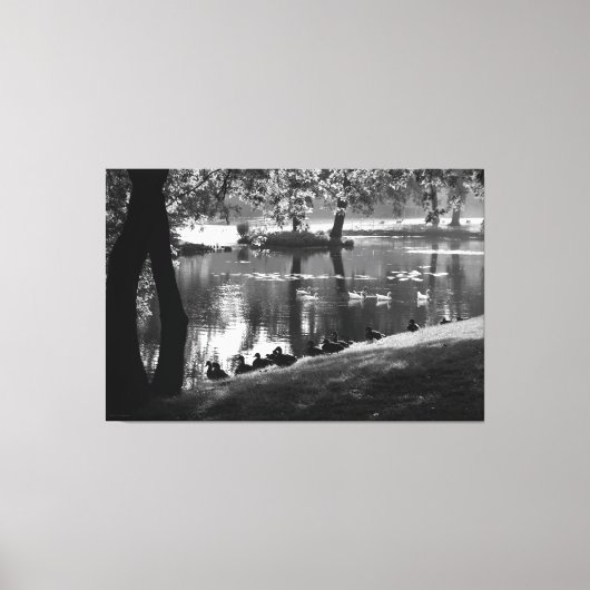 Parkleven 60x40 (150x100cm) waccnm canvas afdruk (Voorkant)