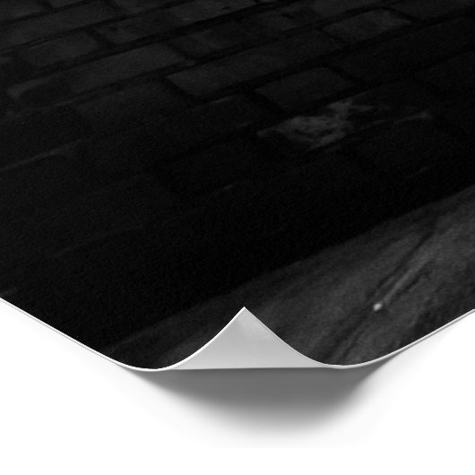 Parkour in Venice Poster (Hoek)