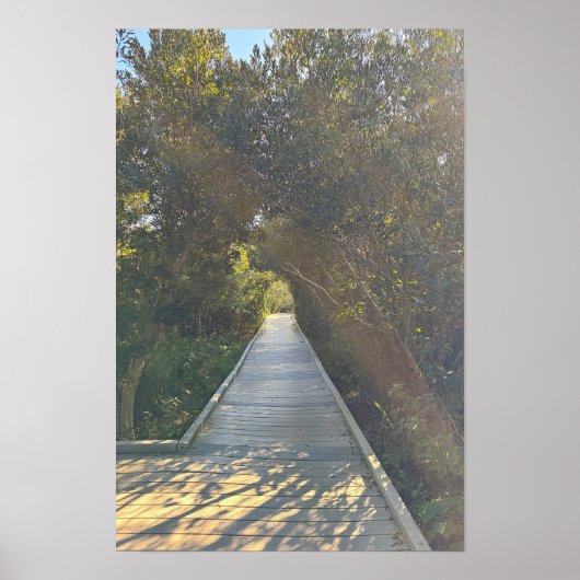 Parkpad Poster (Voorkant)