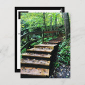 parktrap van maquoketa groves briefkaart (Voorkant / Achterkant)