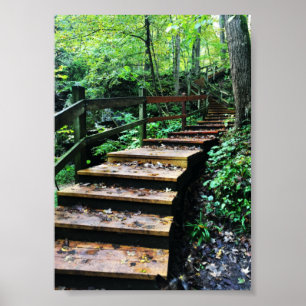 parktrap van maquoketa groves poster