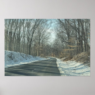 Parkweg in de winter poster