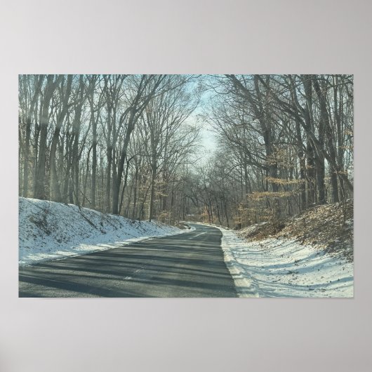 Parkweg in de winter poster (Voorkant)