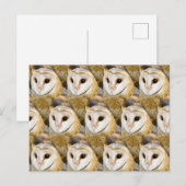 parlement van Barn Owls Briefkaart (Voorkant / Achterkant)