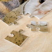 parlement van Barn Owls Legpuzzel (Zijkant)