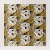 parlement van Barn Owls Legpuzzel (Horizontaal)