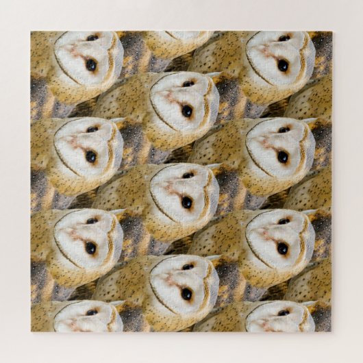 parlement van Barn Owls Legpuzzel (Horizontaal)