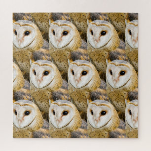parlement van Barn Owls Legpuzzel