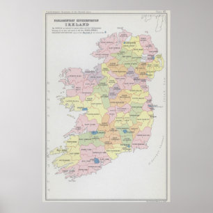 Parlementaire Vertegenwoordiging   Ierland Poster