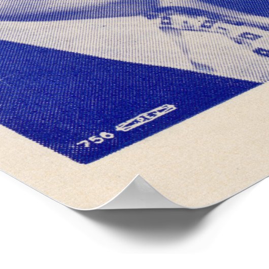 parlementslid Nixon Senator Poster (Hoek)