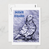 Parlor Roller Pigeon Briefkaart (Voorkant / Achterkant)