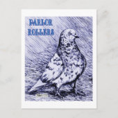 Parlor Roller Pigeon Briefkaart (Voorkant)