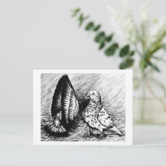 Parlor Roller Pigeons Briefkaart (Staand voorkant)