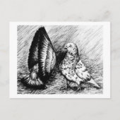 Parlor Roller Pigeons Briefkaart (Voorkant)