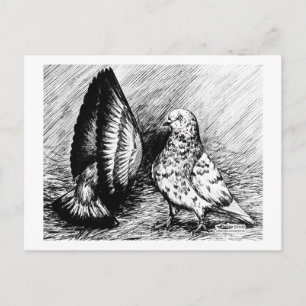 Parlor Roller Pigeons Briefkaart