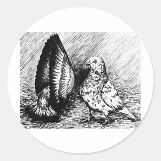 Parlor Roller Pigeons Ronde Sticker (Voorkant)