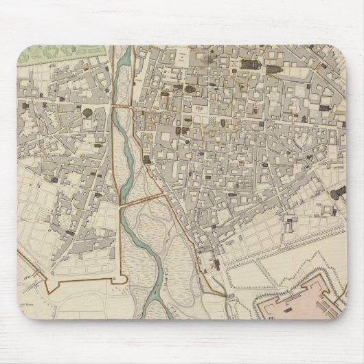 Parma Muismat (Voorkant)