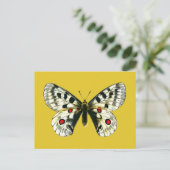Parnassius apollo-vlinder briefkaart (Staand voorkant)