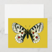 Parnassius apollo-vlinder briefkaart (Voorkant / Achterkant)