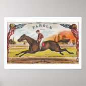 Parole -Amerikaans paard Poster (Voorkant)