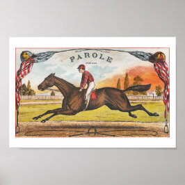 Parole -Amerikaans paard Poster