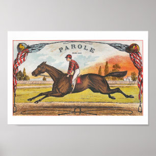 Parole -Amerikaans paard Poster