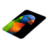 Parot Magneet (Linkerzijde)