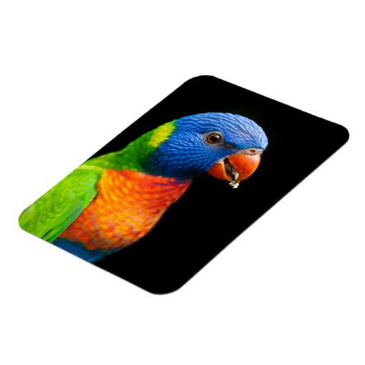 Parot Magneet (Linkerzijde)