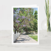 Parque de la Bombilla, Lliria, Valencia, Spanje Kaart (Voorkant)