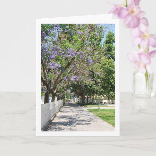 Parque de la Bombilla, Lliria, Valencia, Spanje Kaart (Orchidee)