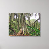 Parque El Gallineral in San Gil Canvas Afdruk (Voorkant)