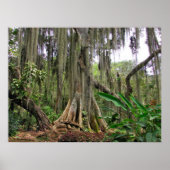 Parque Gallineral of San Gil Poster (Voorkant)