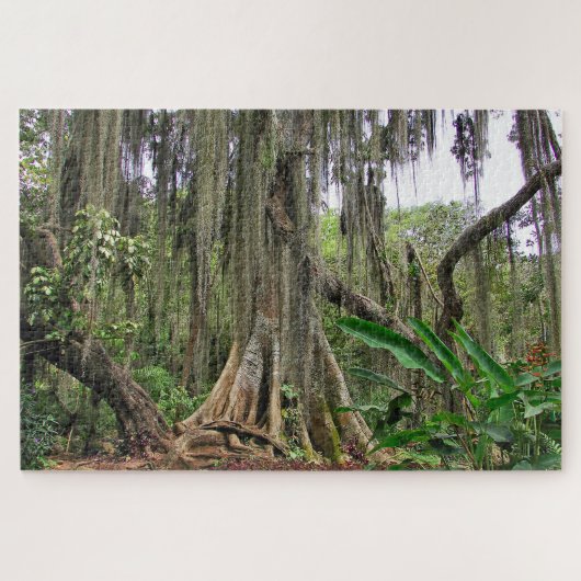 Parque Gallineral van San Gil Jig Saw Puzzel (Horizontaal)