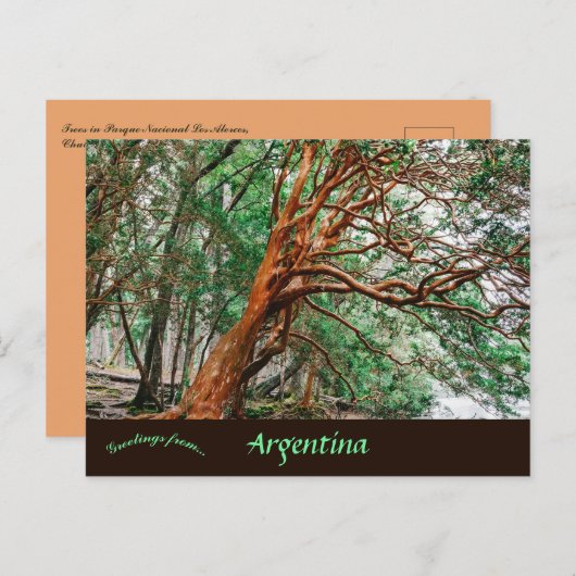 Parque Nacional Los Alerces Chubut Argentina Briefkaart (Voorkant / Achterkant)