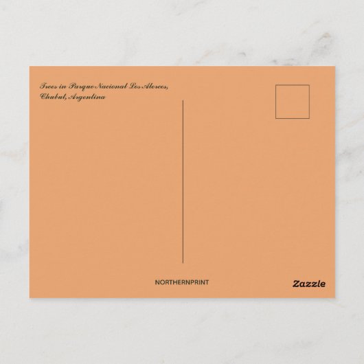Parque Nacional Los Alerces Chubut Argentina Briefkaart (Achterkant)
