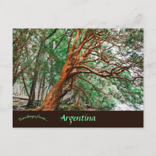 Parque Nacional Los Alerces Chubut Argentina Briefkaart