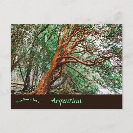 Parque Nacional Los Alerces Chubut Argentina Briefkaart (Voorkant)