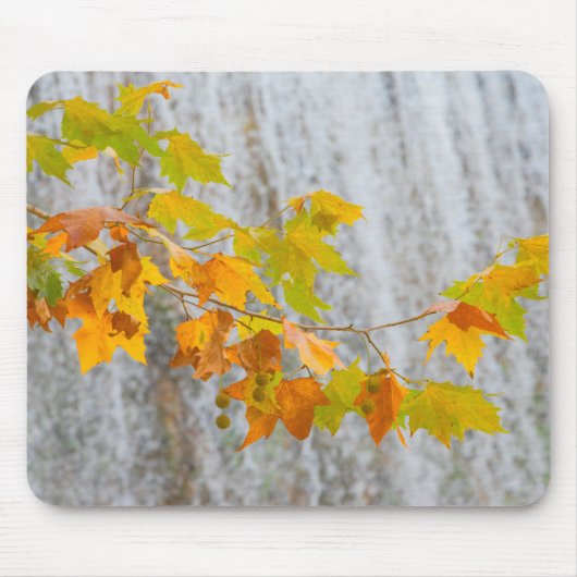 Parque Natural del Monasterio - Fall Leaves Muismat (Voorkant)