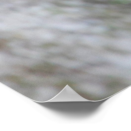 Parque Natural del Monasterio - Fall Leaves Poster (Hoek)