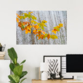 Parque Natural del Monasterio - Fall Leaves Poster (Thuiskantoor)
