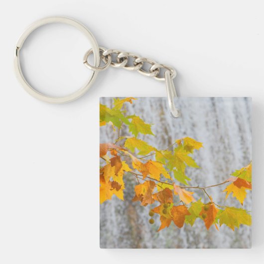Parque Natural del Monasterio - Fall Leaves Sleutelhanger (Voorkant)