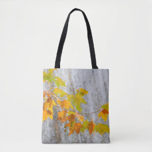 Parque Natural del Monasterio - Fall Leaves Tote Bag