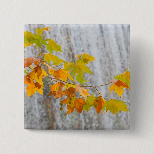 Parque Natural del Monasterio - Fall Leaves Vierkante Button 5,1 Cm (Voorkant)