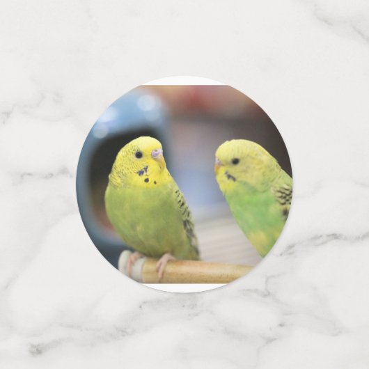 Parrakeets Confetti (Kleine voorkant)
